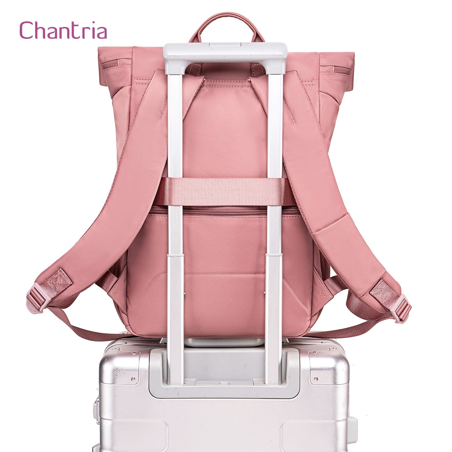 CHANTRIA CH050 