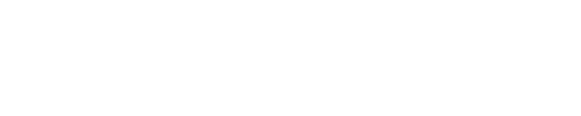 Bange bg031